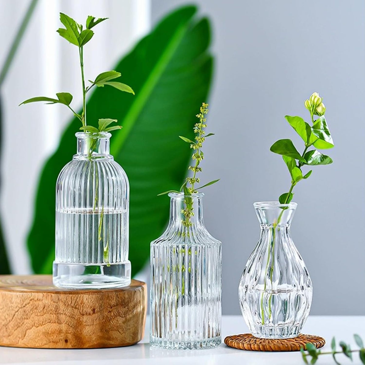 Name Lifestyle Vintage Clear Glass Bud Vase Collection additional product photo